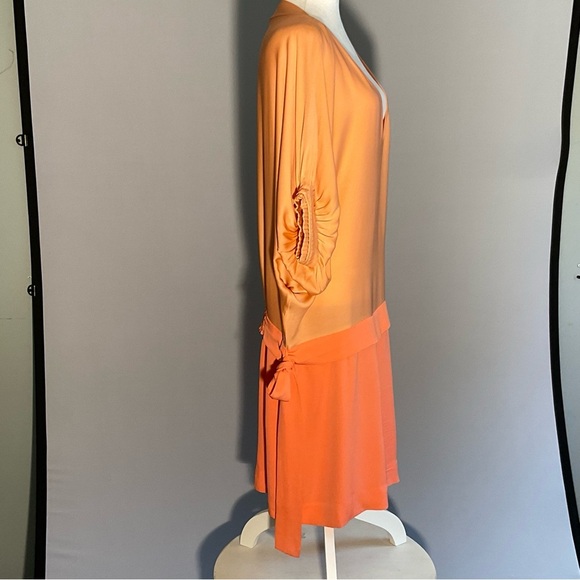 Diane Von Furstenberg Peach/Apricot Silk Drop Waist Batwing Puffed Sleeves Dress - Picture 3 of 16